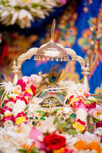 Daily Darshan