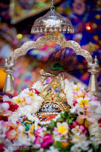 Daily Darshan