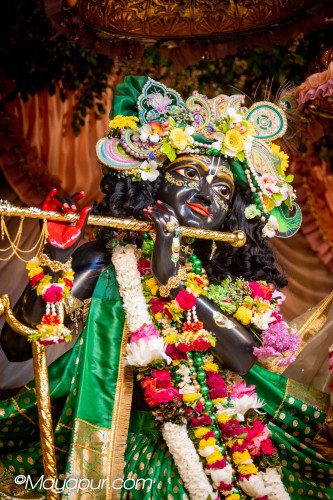 Daily Darshan