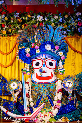 Daily Darshan