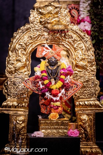 Daily Darshan