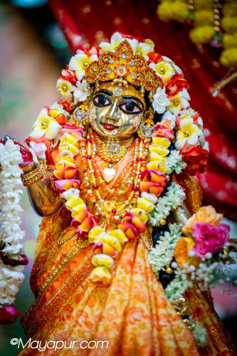 Daily Darshan
