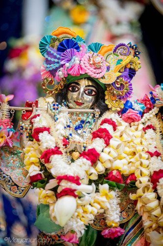 Daily Darshan