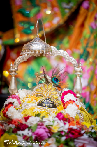 Daily Darshan