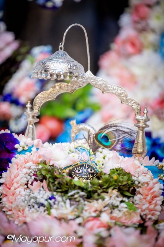Daily Darshan