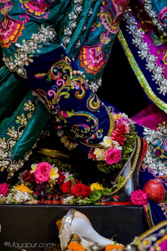Daily Darshan