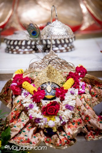 Daily Darshan