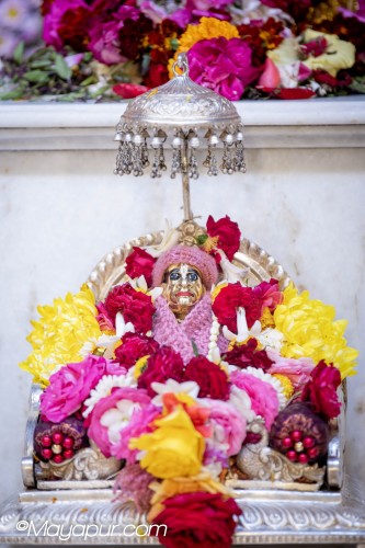 Daily Darshan