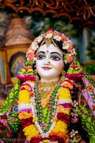 Daily Darshan