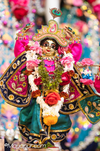 Daily Darshan