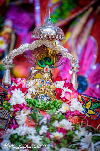 Daily Darshan
