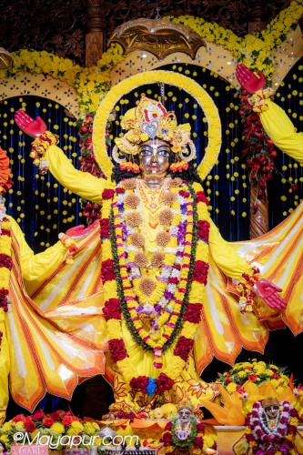 Daily Darshan