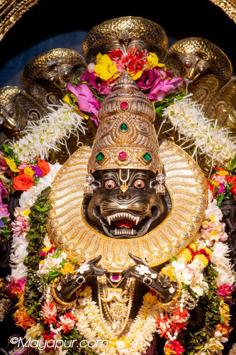 Daily Darshan