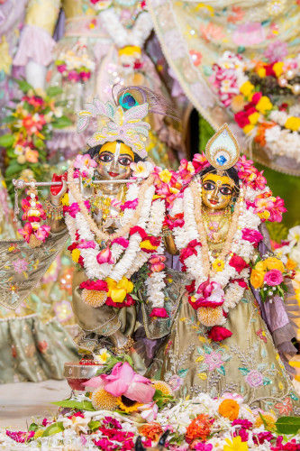 Daily Darshan