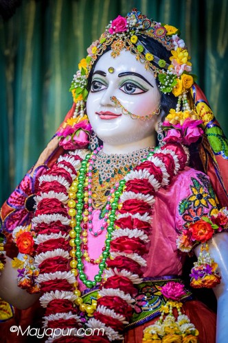 Daily Darshan