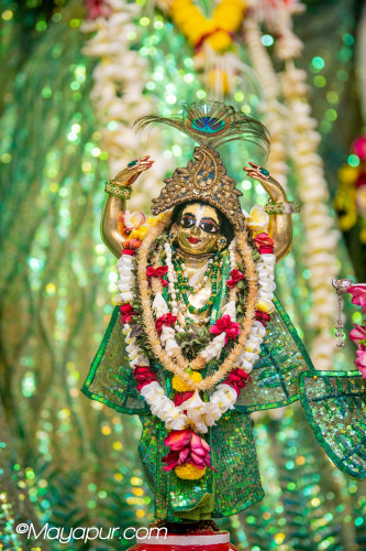 Daily Darshan