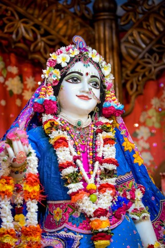 Daily Darshan
