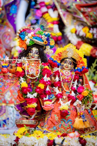 Daily Darshan