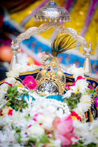 Daily Darshan