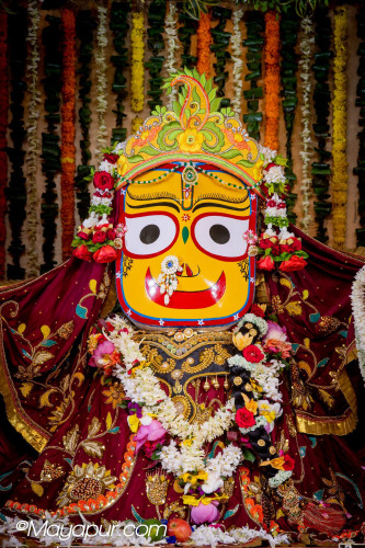 Daily Darshan