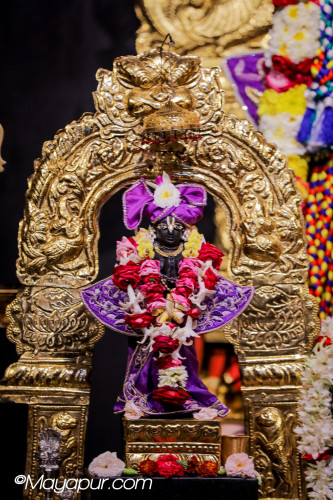 Daily Darshan