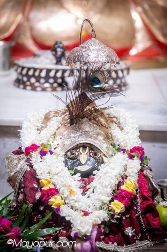 Daily Darshan