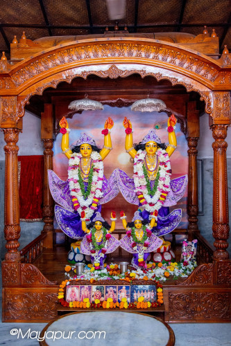 Daily Darshan