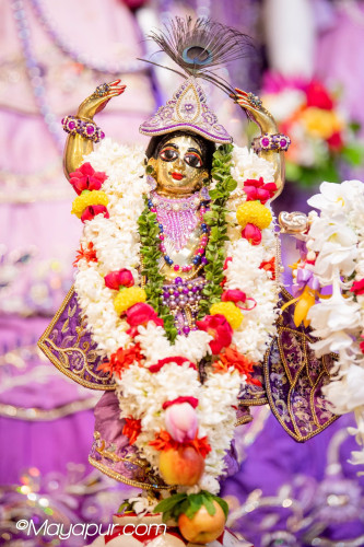 Daily Darshan