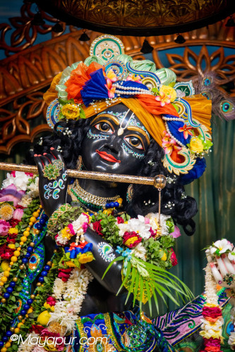 Daily Darshan