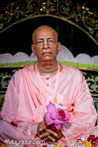 Daily Darshan