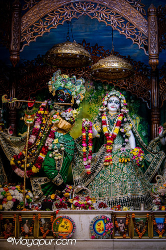 Daily Darshan