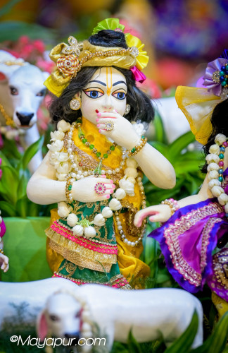 Daily Darshan