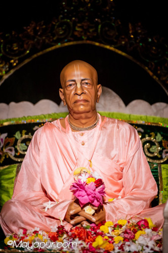 Daily Darshan
