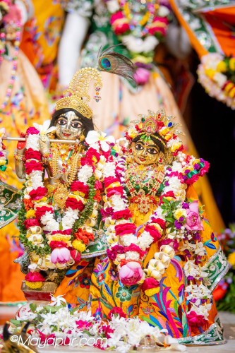Daily Darshan
