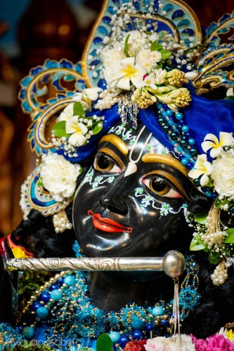Daily Darshan