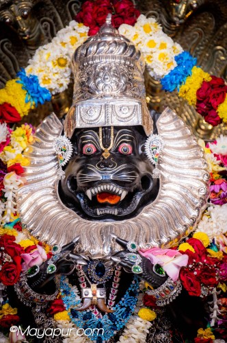 Daily Darshan