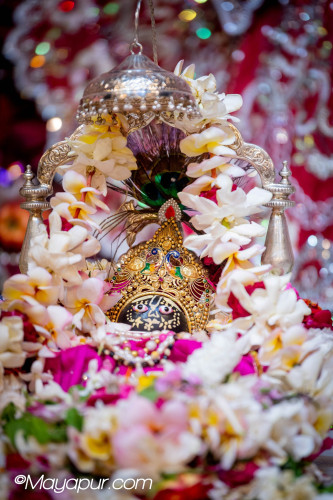 Daily Darshan