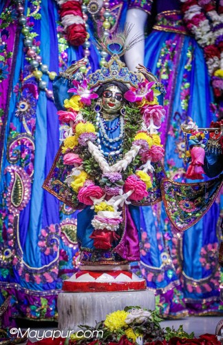 Daily Darshan