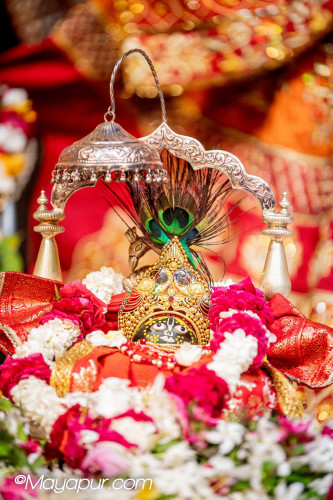Daily Darshan