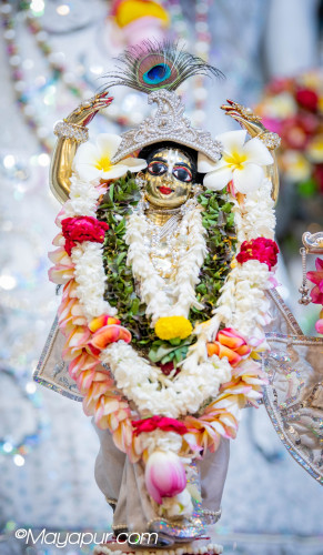 Daily Darshan