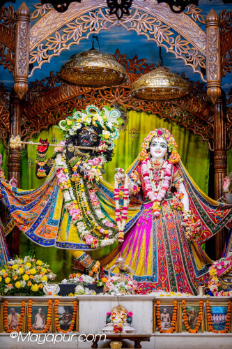 Daily Darshan