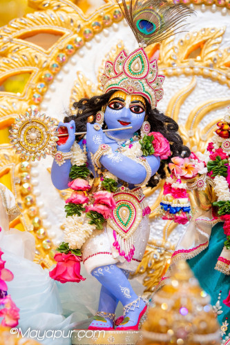 Daily Darshan