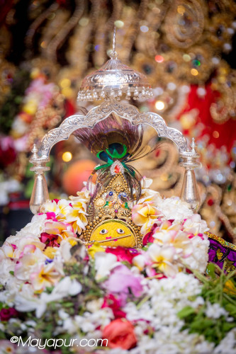 Daily Darshan