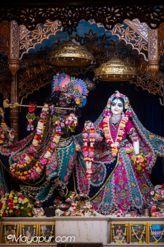 Daily Darshan