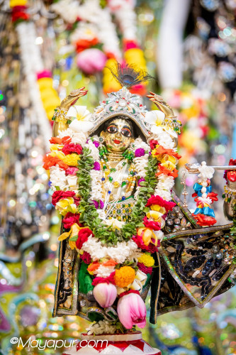 Daily Darshan