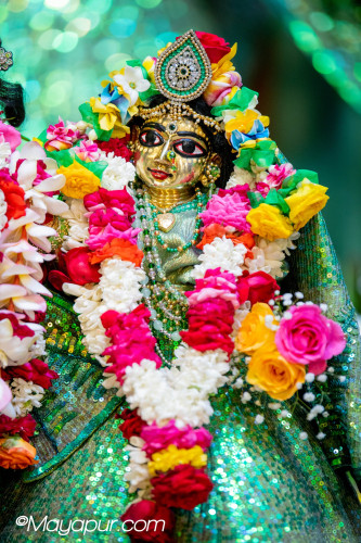 Daily Darshan