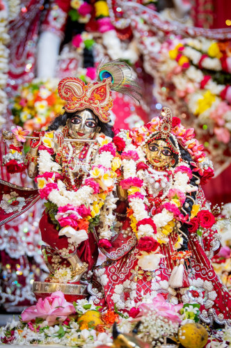 Daily Darshan