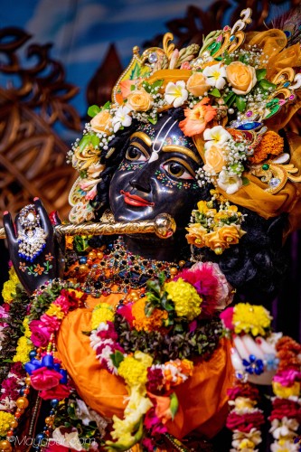 Daily Darshan