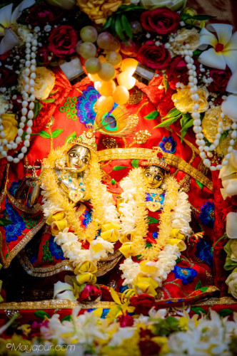 Daily Darshan