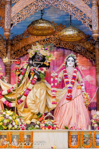 Daily Darshan